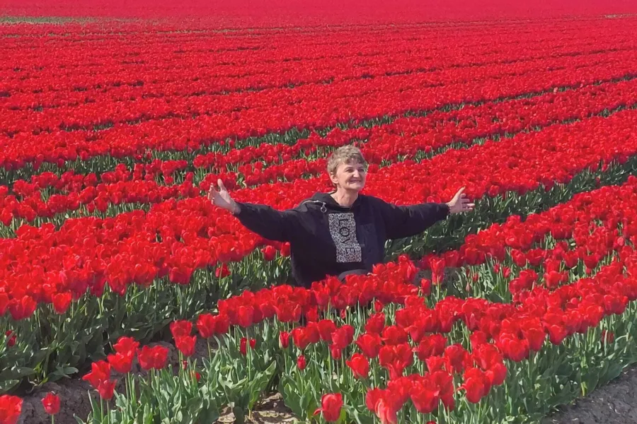 Lucia in de tulpen velden